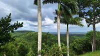 Las Terrazas