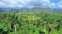 Viñales-Tal