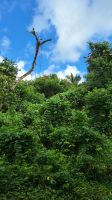 Wanderung in der Sierra de Escambray
