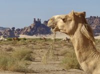 auf dem Weg nach Madakhil