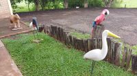 Unsere Lodge im Pantanal. 