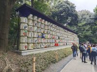 Meiji Schrein Tokio