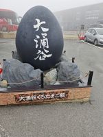 Schwarze Eier von Owakudani