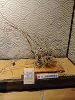 Jinya in Takayama