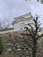 Die weiße Burg Himeji
