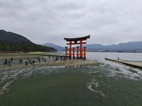 Shinto- Schrein von Itsukushima