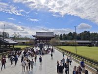 Todaiji-Tempel in Nara