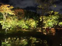 Kodaiji-Tempel in Kyoto