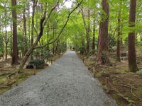 Ryoanji-Tempel mit Zen-Garten
