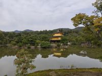 Kinkaku-ji / Goldener Tempel in Kyoto