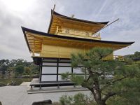 Kinkaku-ji / Goldener Tempel in Kyoto