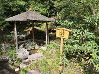 Kinkaku-ji / Goldener Tempel in Kyoto