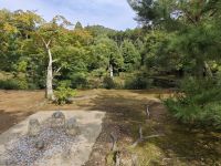 Kinkaku-ji / Goldener Tempel in Kyoto