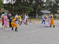 Dragonball