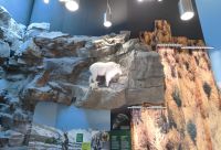 Visitor Center am Lake Louise - Banff Nationalpark - Kanada