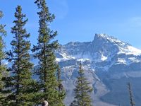 Auf der Rückfahrt - Bergkulisse der Rocky Montains - Kanada