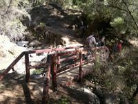 Über kleine niedliche Brücken ging es zu nächste durch einen Kiefernwald nach unten.