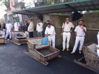 Korbschlittenfahrer in Monte