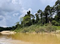 Tag 8 - Bootsfahrt auf dem Tembeling-Fluss