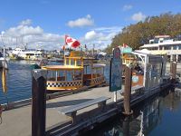 Die gelben Wassertaxi in Hafen von Viktoria - Vancouver Island, Kanada