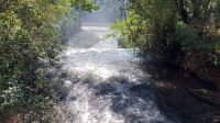 Spazierweg durch den Nationalpark Iguazu in Argentinien. Foto: Anette Rietz