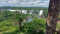 Die Wasserfälle Iguacu in Iguazu in Brasilien. Panorama. Foto: Anette Rietz
