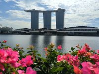 Singapur. Marina Bay Sands