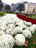 Parkanlage in der Altstadt