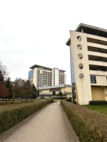 Spaziergang zum Café 