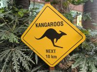 Singapur. Gardens by the Bay 