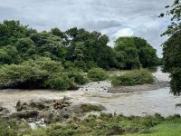 4. Tag – La Fortuna bis Samara – Floating River Tour auf dem Río Corobici