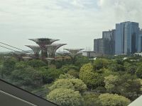 Super Trees