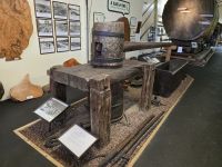 Museum über Kauri Bäume