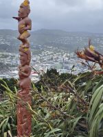 Am Mount Victoria