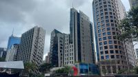 Avenida Paulista Sao Paulo. Foto: Anette Rietz