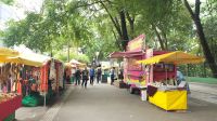 Markt Kunsthandwerk Sao Paulo Avenida Paulista