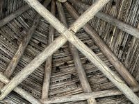 6. Tag – Samara – Wanderung auf dem Werner Sauter Biological Reserve – Fledermäuse