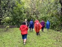 6. Tag – Samara – Wanderung auf dem Werner Sauter Biological Reserve