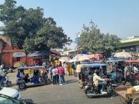 Auf delhis Strassen (9)