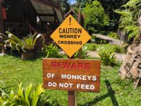 Malaysia. Taman Negara Nationalpark. Aufpassen in der Mutiara Lodge!