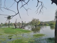 Koladeo Nationalpark (14)