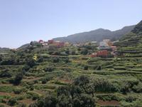 Gut angelegte und sehr gepflegte Terrassen begeisterten die Gärtner unter uns.