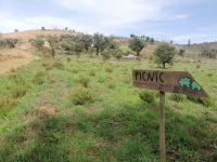 Picknickplatz bei Traudi