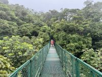 8. Tag – Monteverde – Hängebrückenwanderung durch den Nebelwald