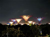 Blick auf die Supertrees an den Gardens by the bay, Singapur