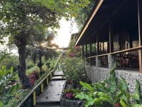 11. Tag – Erholung an der Drake Bay – Morgenstimmung am Hotel Aguila de Osa