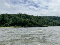 11. Tag – Erholung an der Drake Bay – Bootstour durch die Mangroven – Rückfahrt nach Drake Bay