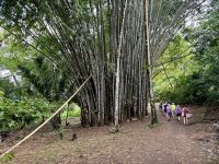 12. Tag – Hotel Águila de Osa & Drake Bay – Restaurantbereich im Hotel Águila de Osa