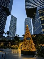 Der Weihnachtsbaum leuchtet vor den Hochhäusern von Singapur