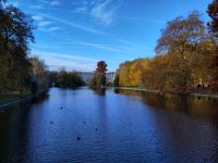 Blick über den St. James Park Lake (St. James-Park-See9 zum Buckingham Palace